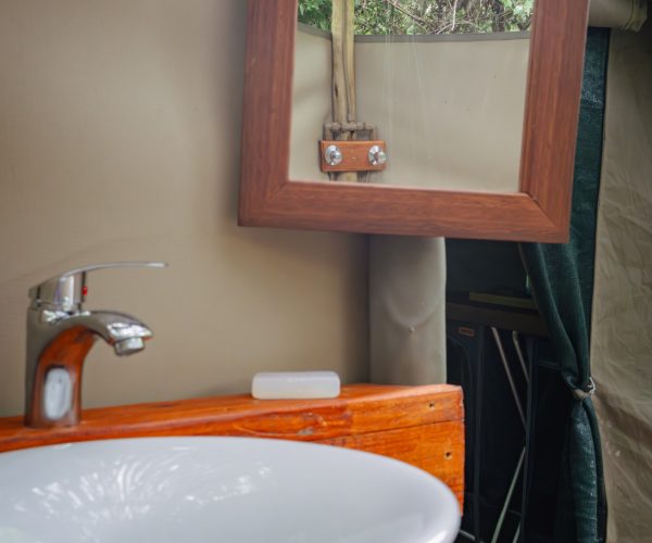 Bathroom Detail