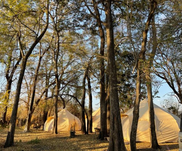 Camp