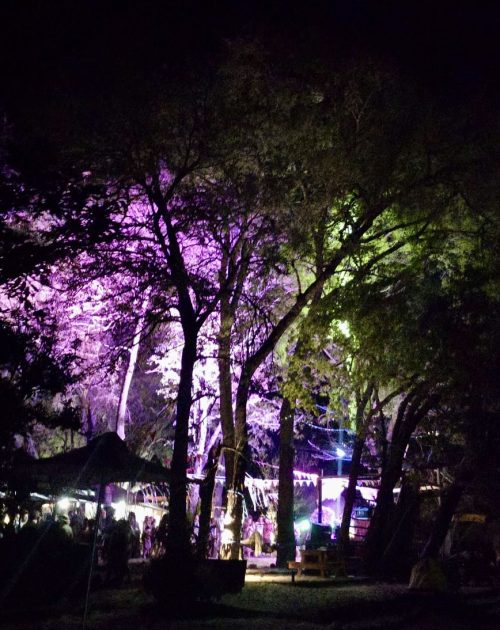 Festival-Image