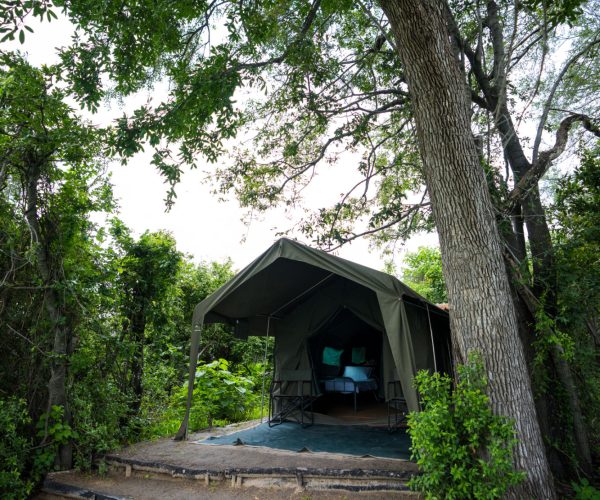 Front of Tent