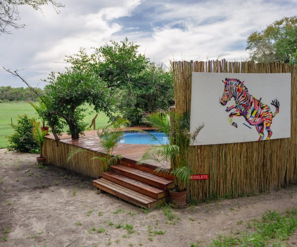 Pool Zebra